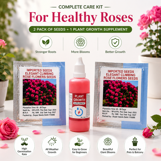 Imported Elegant Climbing Rose Flower Seeds Combo with Plant Growth Supplement | 2 Seed Packs + 50ml Plant Growth Booster