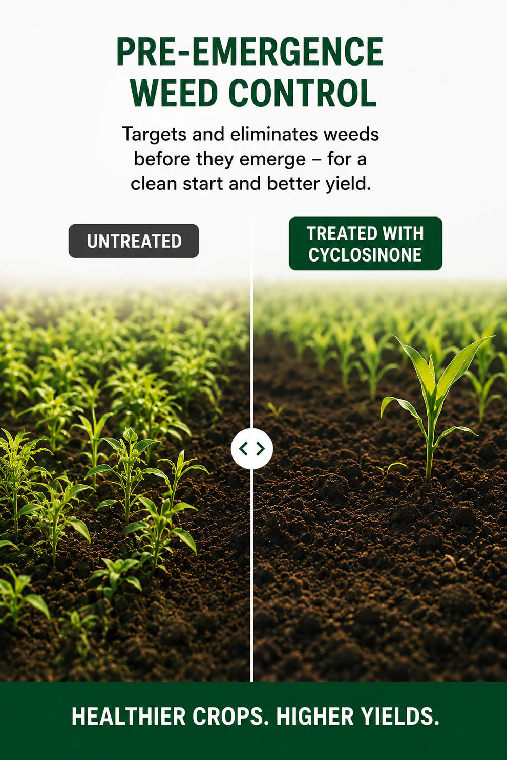 Cyclosinonie Herbicide Granules (Buy 1 Get 1 Free) | 5% Active Ingredient | Low Toxicity Weed Control