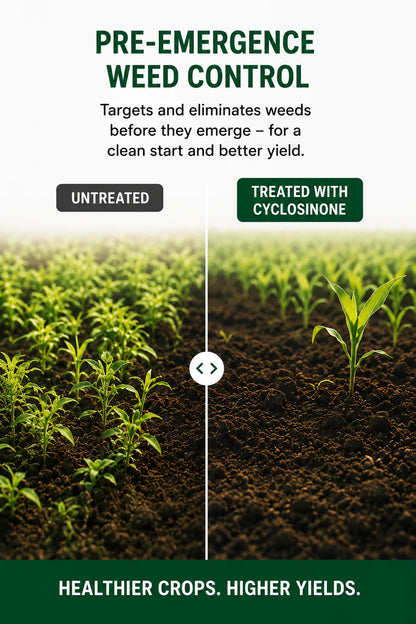 Cyclosinonie Herbicide Granules (Buy 1 Get 1 Free) | 5% Active Ingredient | Low Toxicity Weed Control