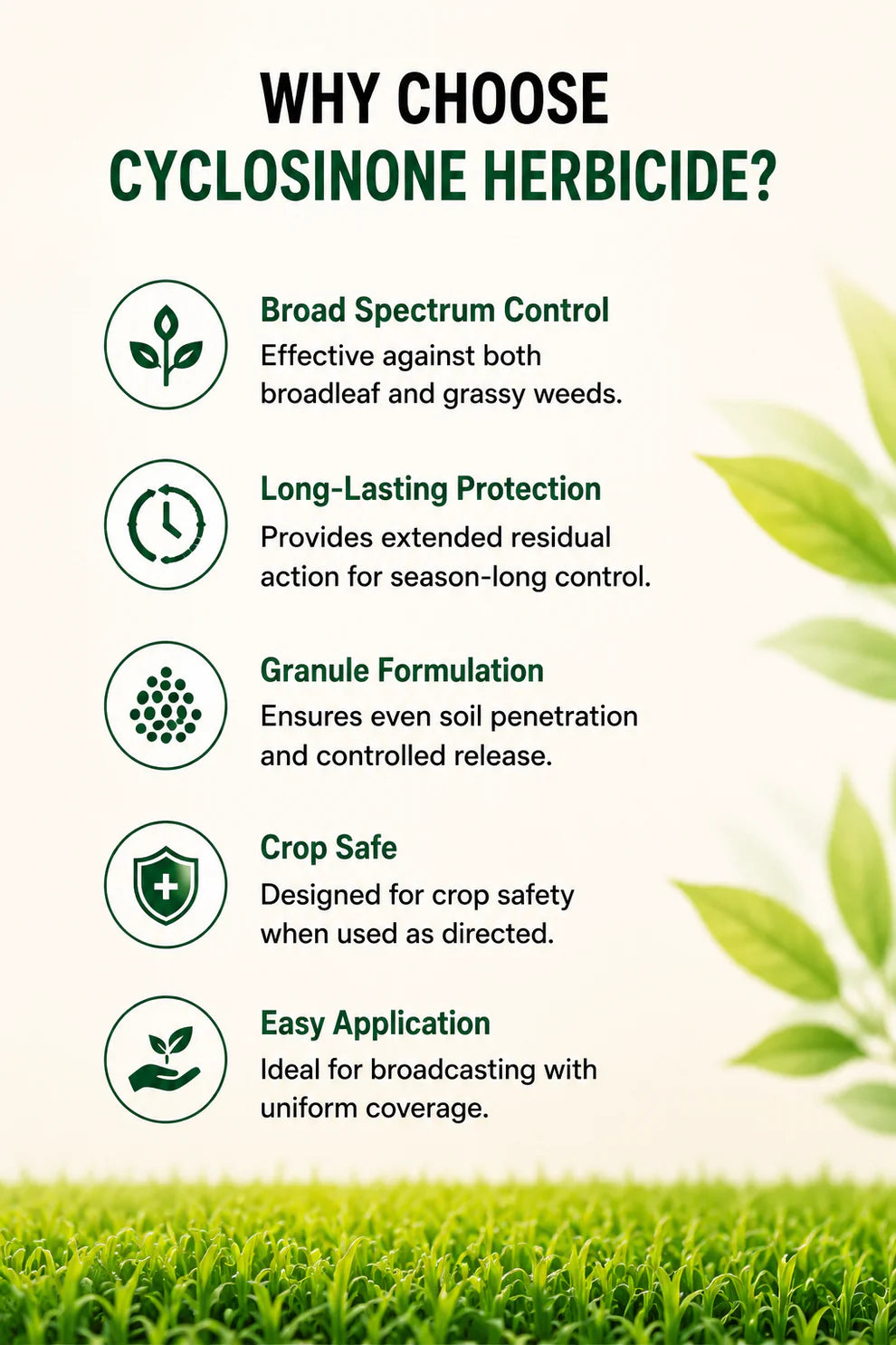 Cyclosinonie Herbicide Granules (Buy 1 Get 1 Free) | 5% Active Ingredient | Low Toxicity Weed Control