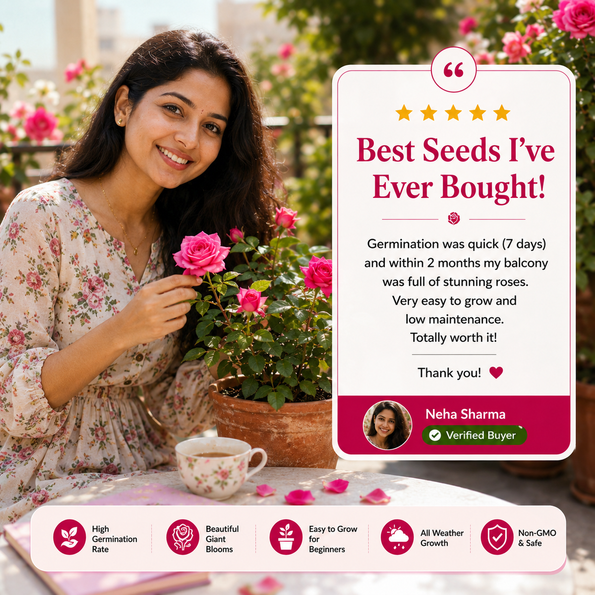 Imported Elegant Climbing Rose Flower Seeds Combo with Plant Growth Supplement | 2 Seed Packs + 50ml Plant Growth Booster