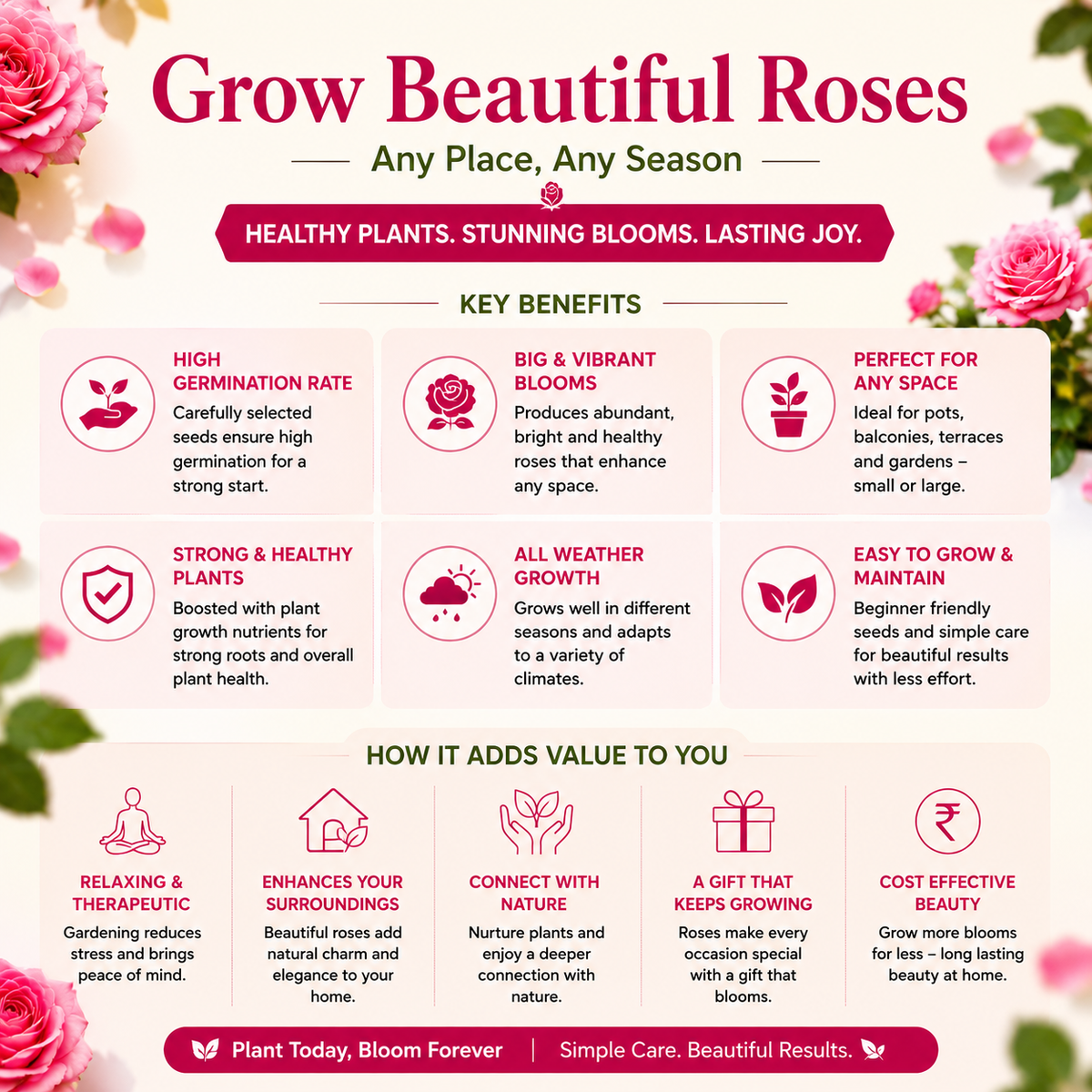 Imported Elegant Climbing Rose Flower Seeds Combo with Plant Growth Supplement | 2 Seed Packs + 50ml Plant Growth Booster