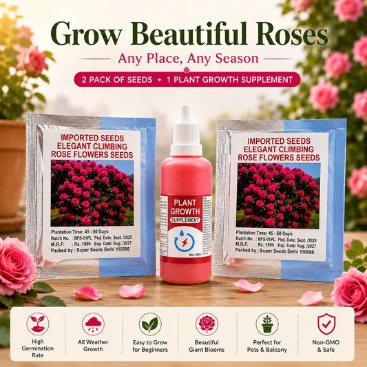Imported Elegant Climbing Rose Flower Seeds Combo with Plant Growth Supplement | 2 Seed Packs + 50ml Plant Growth Booster