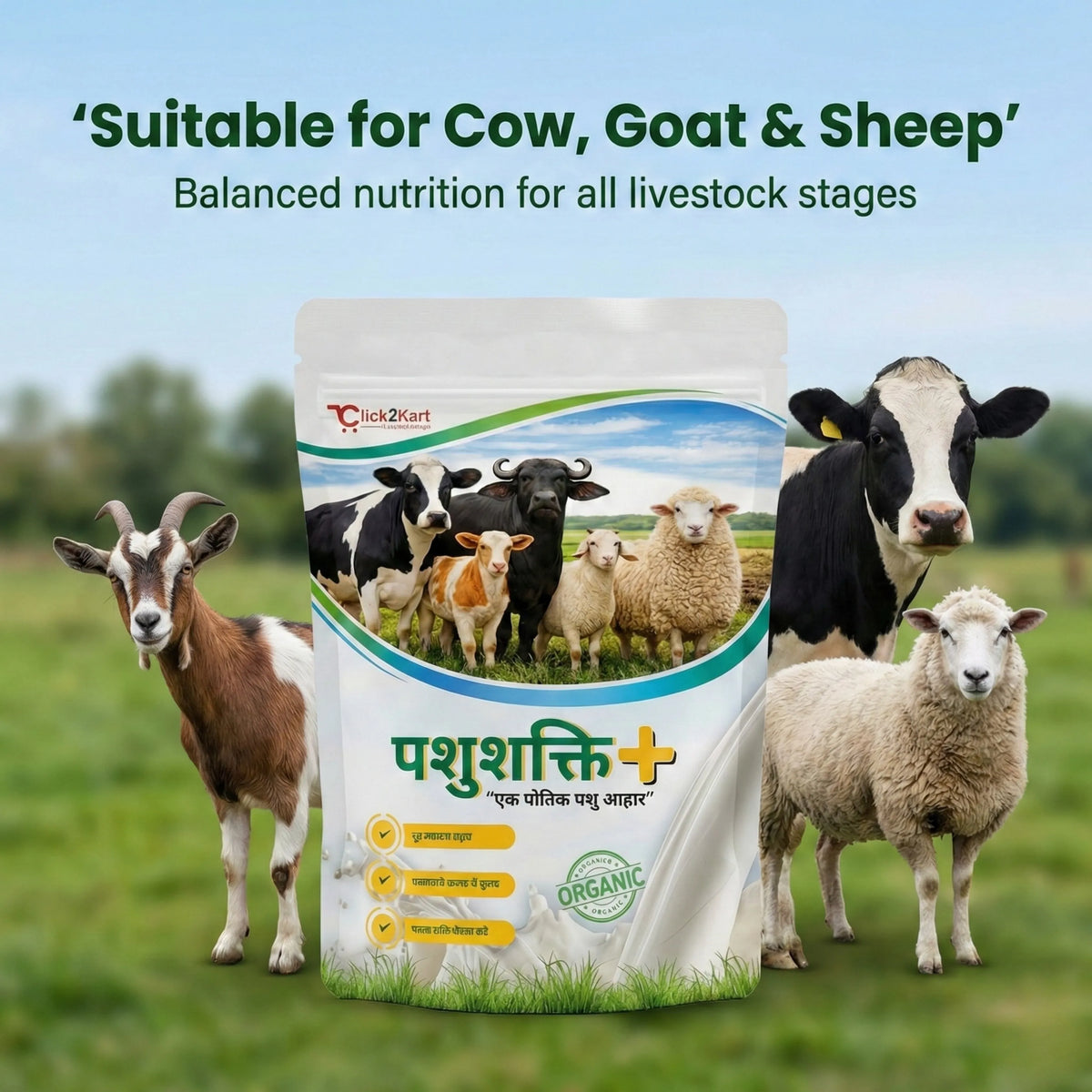 Pashushakti Cattle Pellet Feed